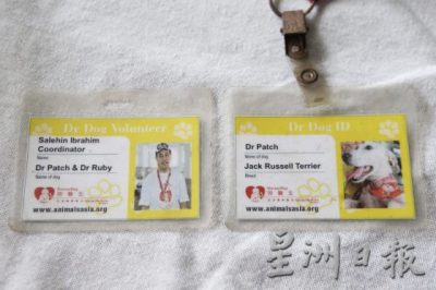 【人与动物的陪伴关系／01】带著爱与关怀出发，重建狗医生团队疗愈人心