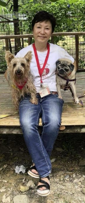 【人与动物的陪伴关系/02】狗医生Fifi与Ark──“行医”路上奉献一生