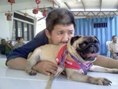 【人与动物的陪伴关系/02】狗医生Fifi与Ark──“行医”路上奉献一生