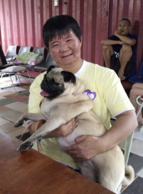 【人与动物的陪伴关系/03】狗医生出动,为残障中心传送欢乐