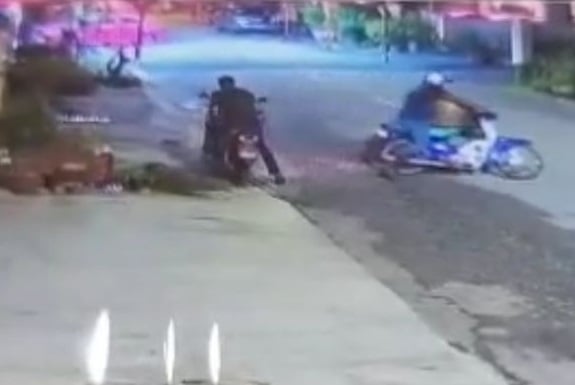 万里镇出现 贼徒凌晨偷花盆