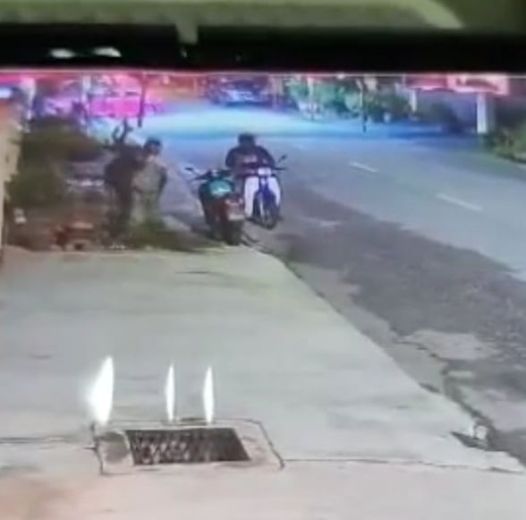 万里镇出现 贼徒凌晨偷花盆