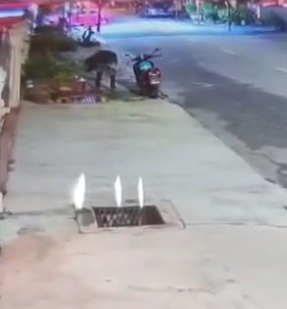 万里镇出现 贼徒凌晨偷花盆