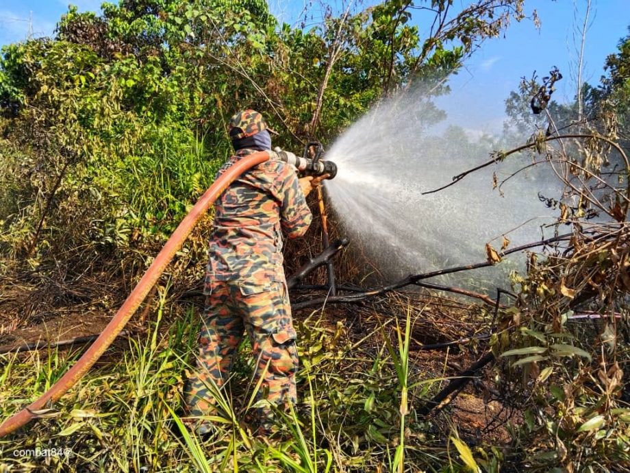 东:彭亨消防与拯救局局长拿督万莫哈末再迪指出,全彭在炎热天气的这段期间,共有180公顷森林遭遇火灾