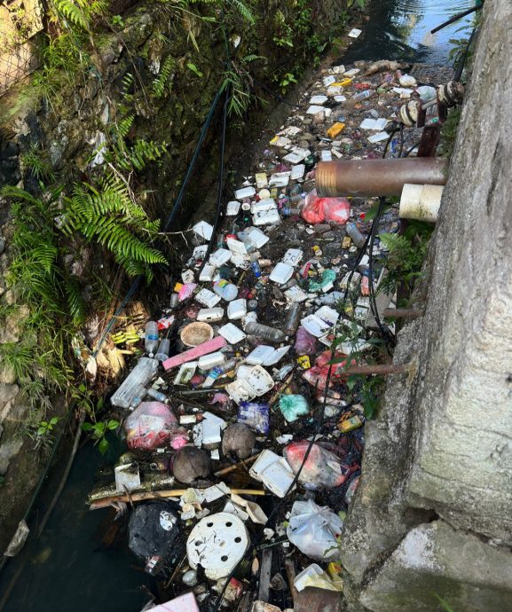 也朗区州议员共同展开清理行动 解决废弃工厂沟墙倒塌垃圾堆积问题
