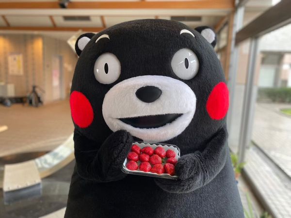 全球最会赚的公务员!熊本熊去年狂赚不忘帮花莲地震募款