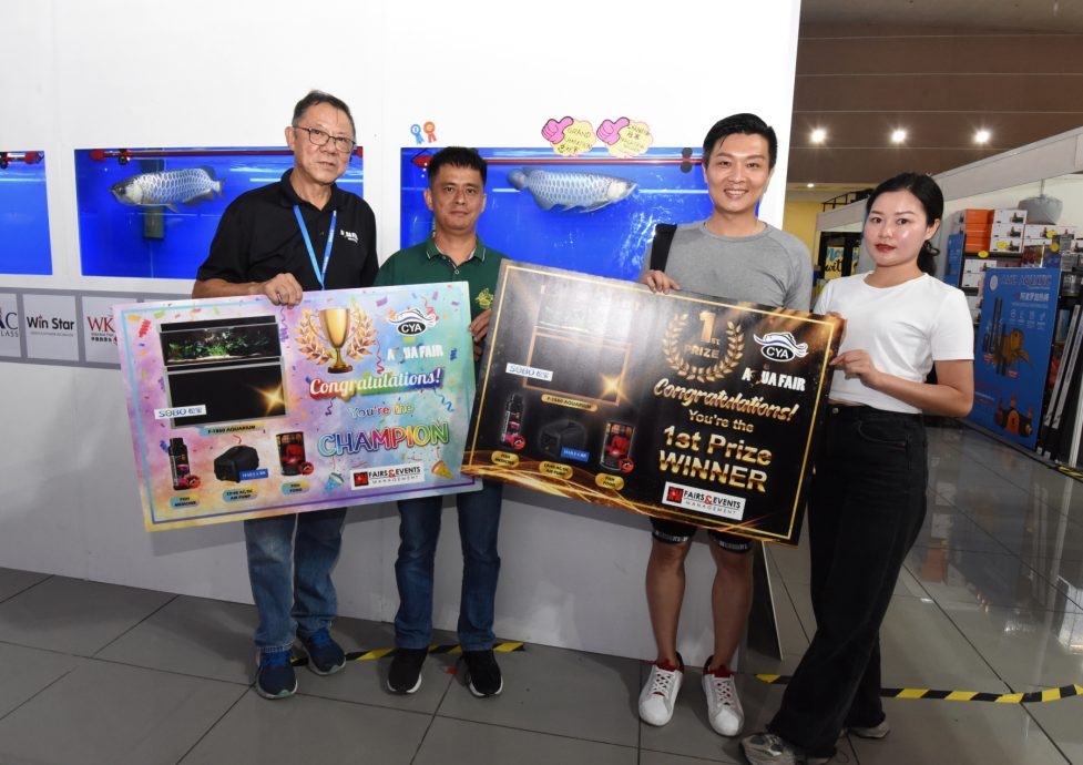 共用版:29日刊:星角摄/图说大马 :古典龙鱼,身价百倍