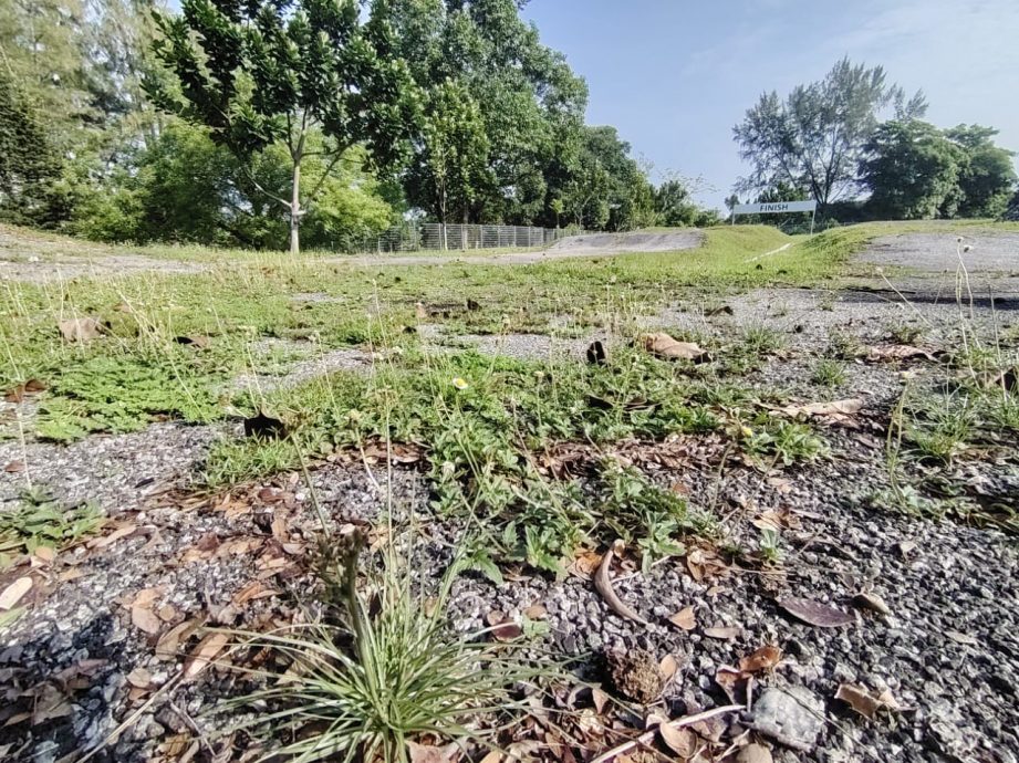 副文-大都会/余保凭呼吁提升峇都大都会公园设施／7图