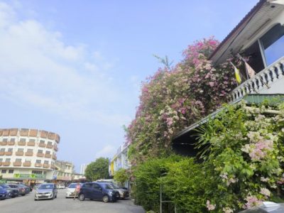 卓衍豪／怡保，宜饱