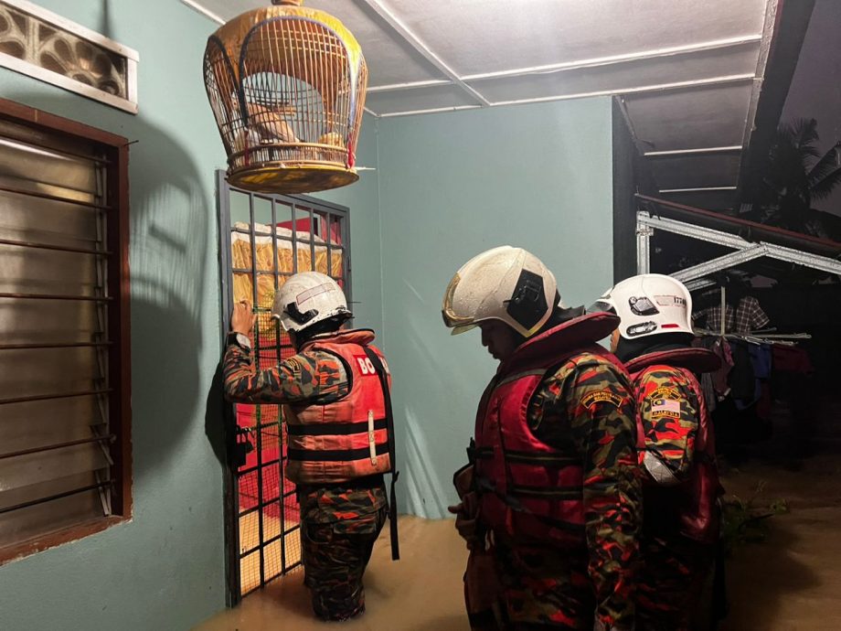 双溪毛糯多个地区淹水·372名灾民被疏散