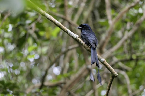 Fkwyq0428 03 Fz100250641658