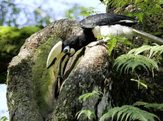 Fkwyq240331 03 Fz100249741864