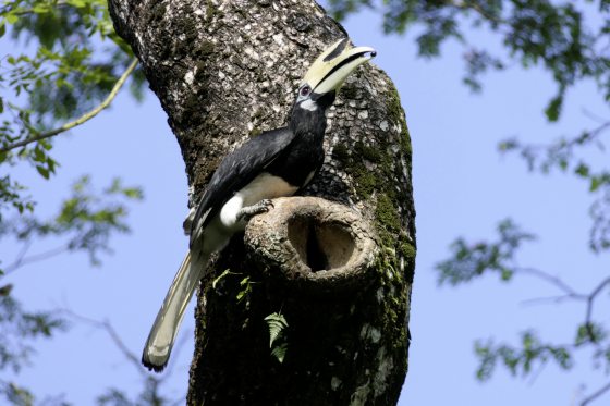 Fkwyq240331 01 Fz100249741862