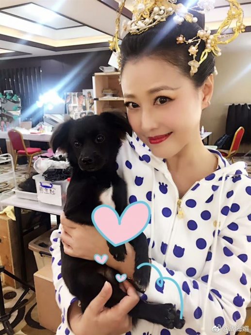 周海媚将长眠北京 社群网账号永不关闭