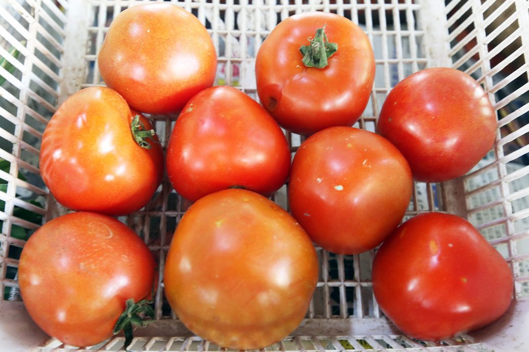 大都会 /ME03头/ 菜价便宜，蕹菜每把才2令吉 / 9图  