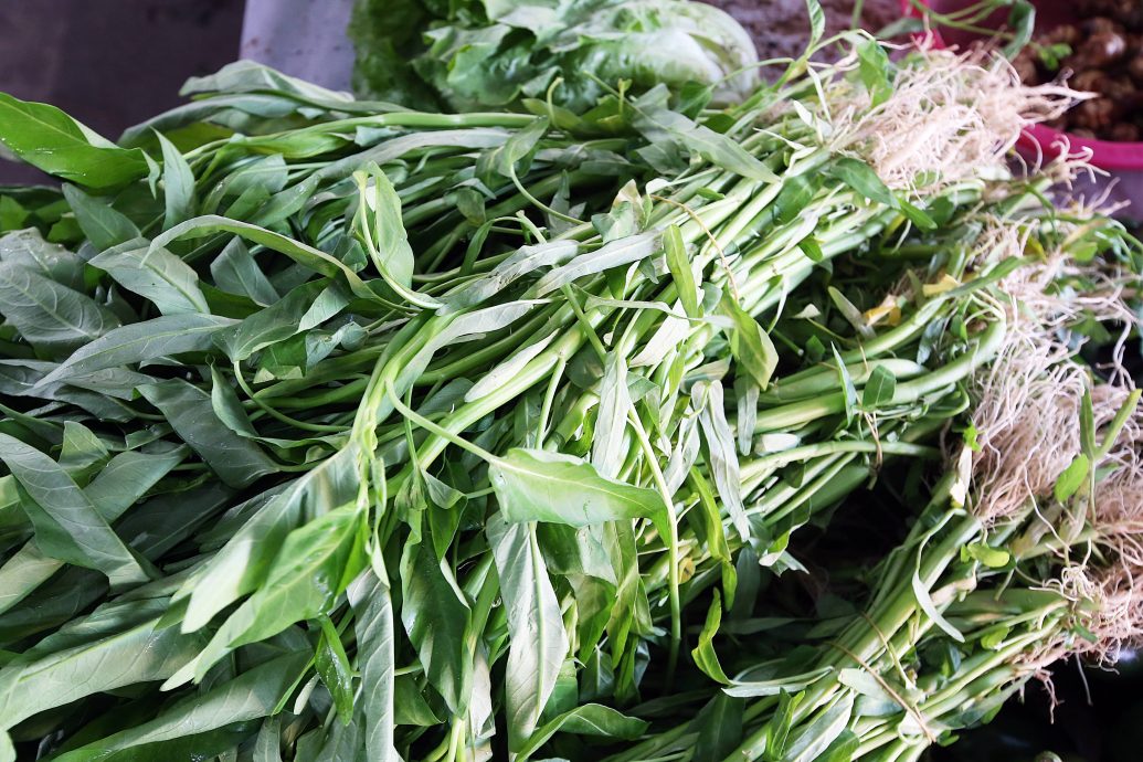 大都会 /ME03头/ 菜价便宜，蕹菜每把才2令吉 / 9图  