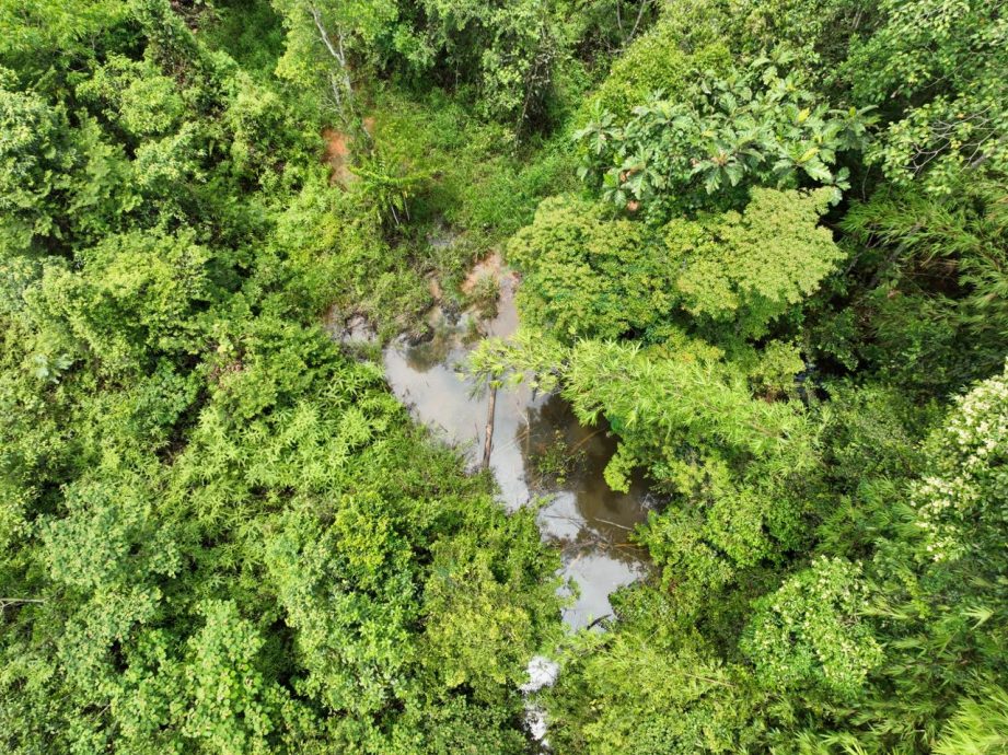 大都会2/嘉玛莉亚文告