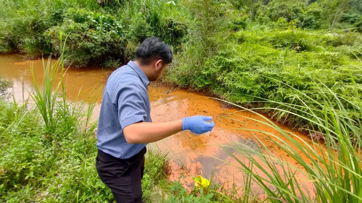 大都会2/嘉玛莉亚文告