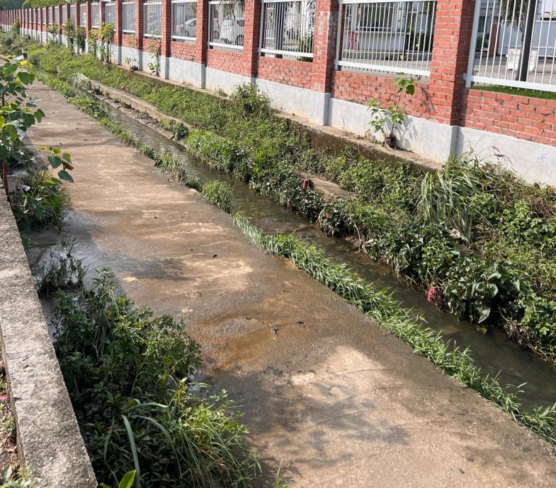 大都会/八打灵英达花园居民闻“雨”色变