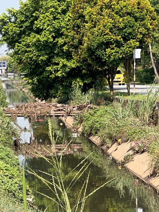 大都会/八打灵英达花园居民闻“雨”色变
