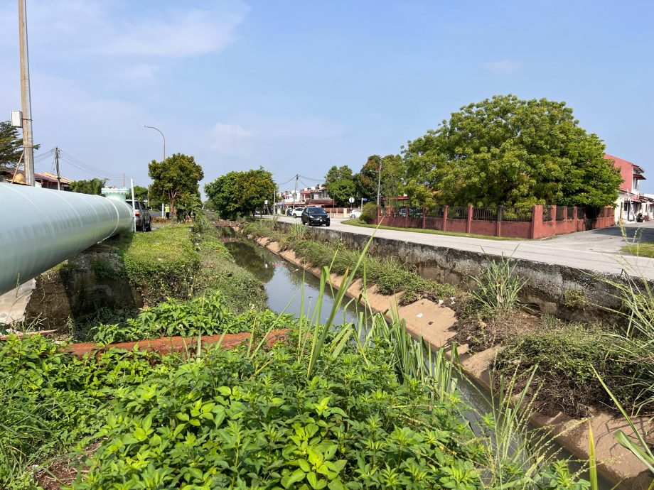 大都会/八打灵英达花园居民闻“雨”色变