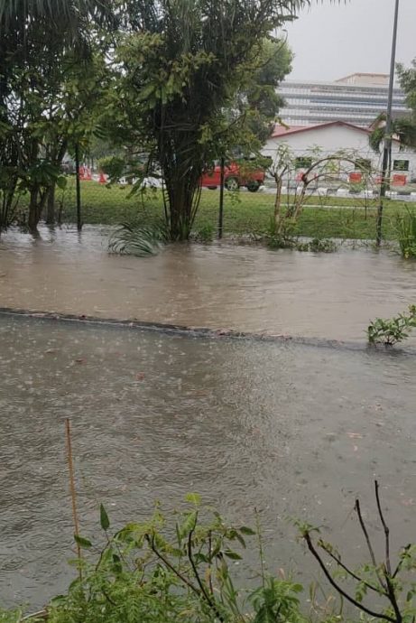 大都会/八打灵英达花园居民闻“雨”色变