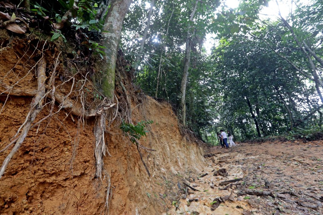 大都会/封面/ 沙登岭走山道疑似被非法开发/9图