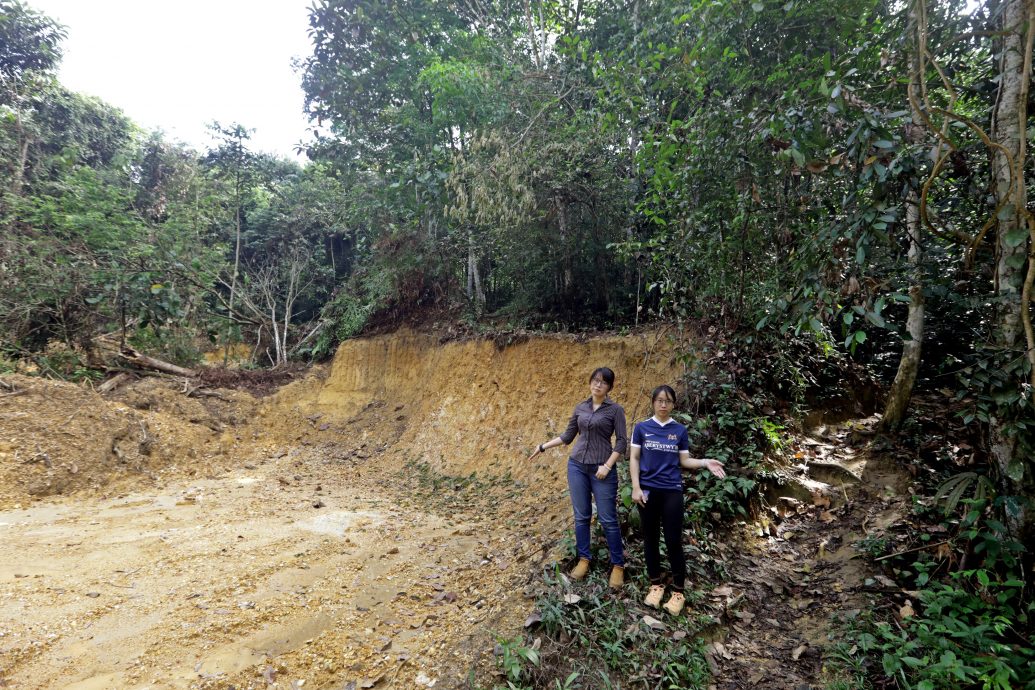 大都会/封面/ 沙登岭走山道疑似被非法开发/9图