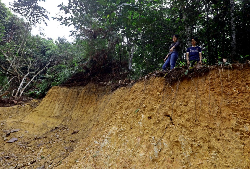 大都会/封面/ 沙登岭走山道疑似被非法开发/9图
