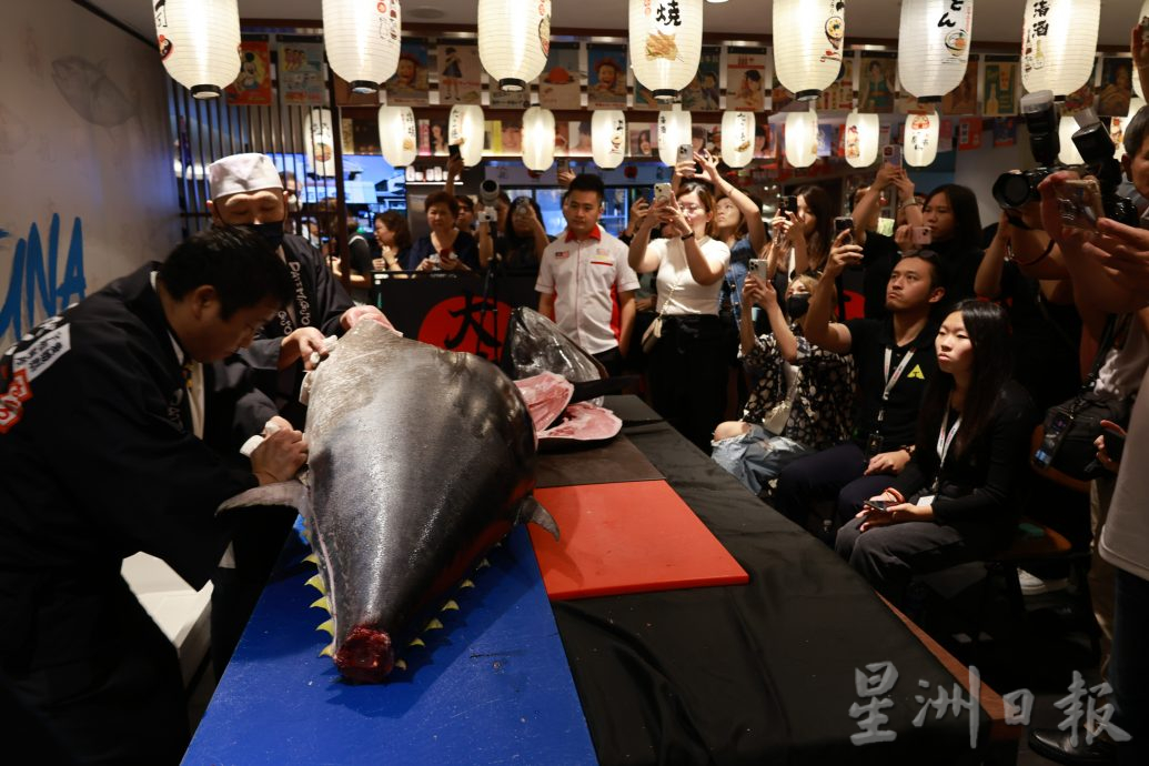 大马最重蓝鳍金枪鱼开鱼仪式创大马记录