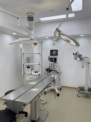 大马缺晚间兽医服务,宠物半夜急诊要找谁?