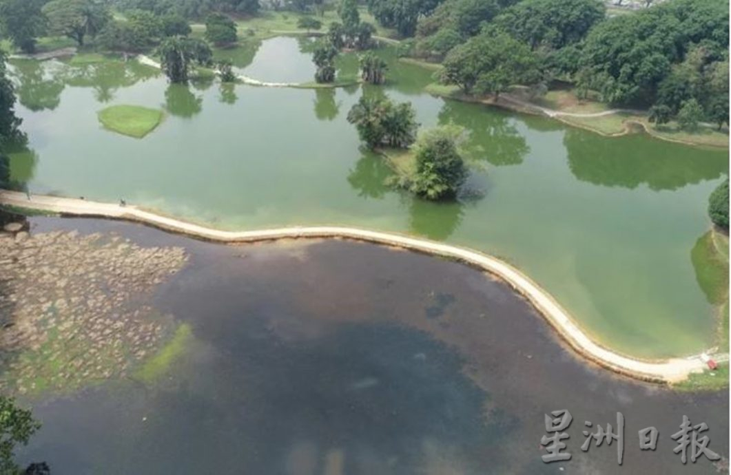 太平湖太极道旁杂草丛生 影响阴阳湖 市议会受促关注