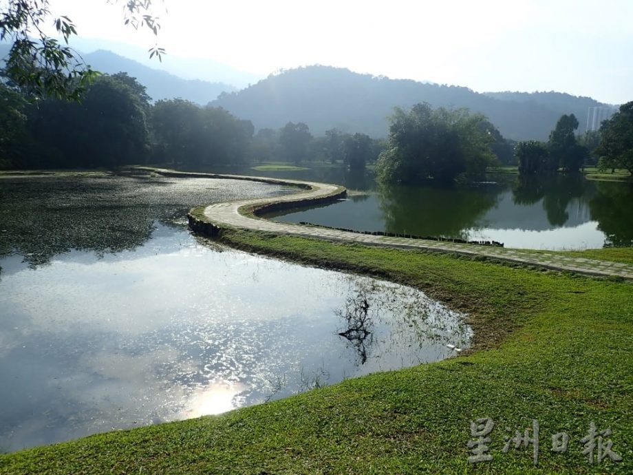 太平湖太极道旁杂草丛生 影响阴阳湖 市议会受促关注