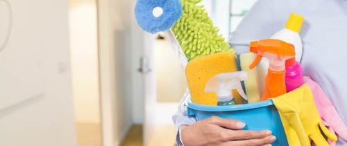 女子招聘每月RM800家庭帮佣 网讥：愚人节还没过吗?