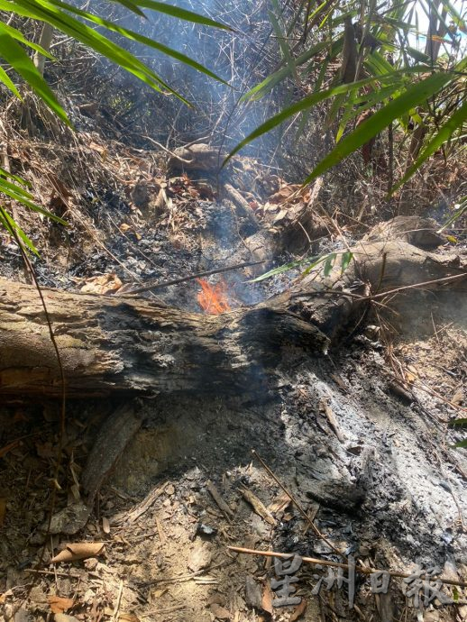 宜力东西大道一山顶发生林火 消拯员历时3天灭火