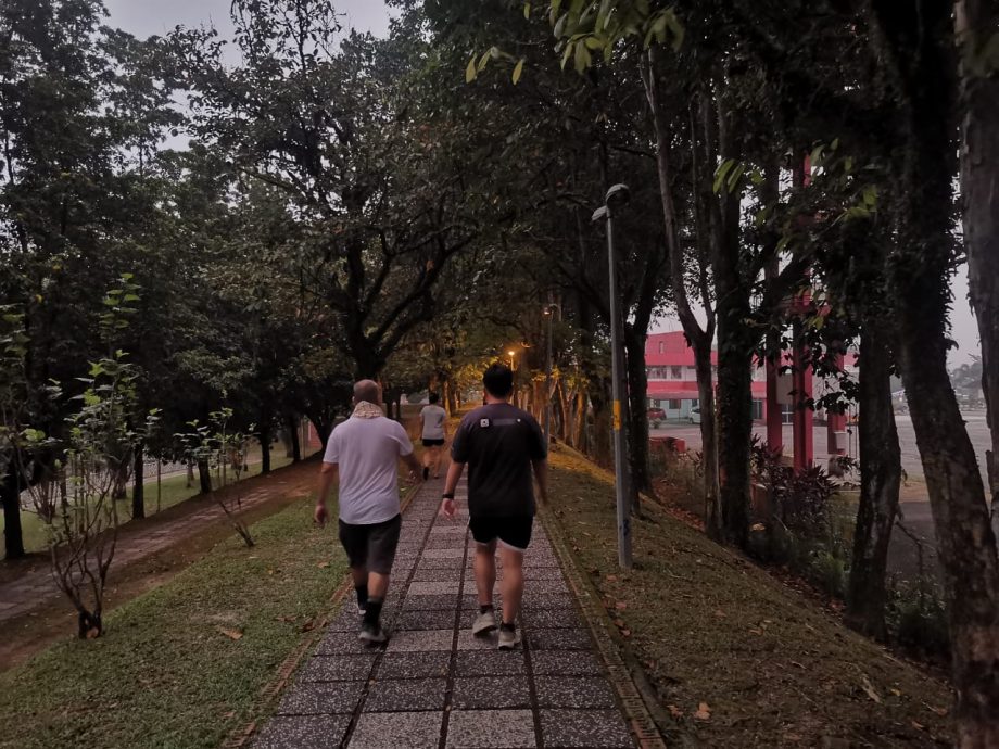 封面-大都会/人民公园走道凹凸不平肇10多人跌倒受伤/17图