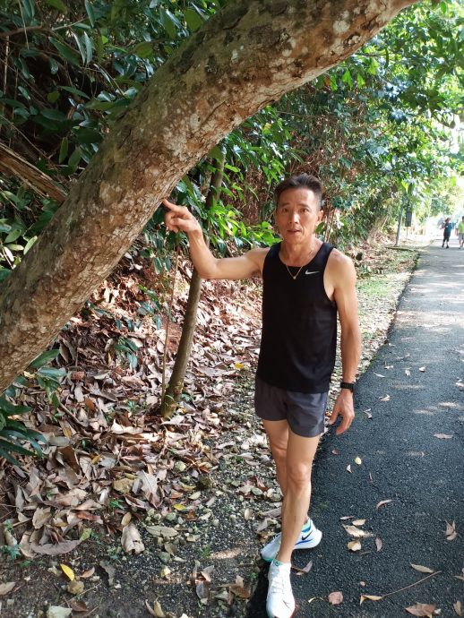 封面-大都会/人民公园走道凹凸不平肇10多人跌倒受伤/17图