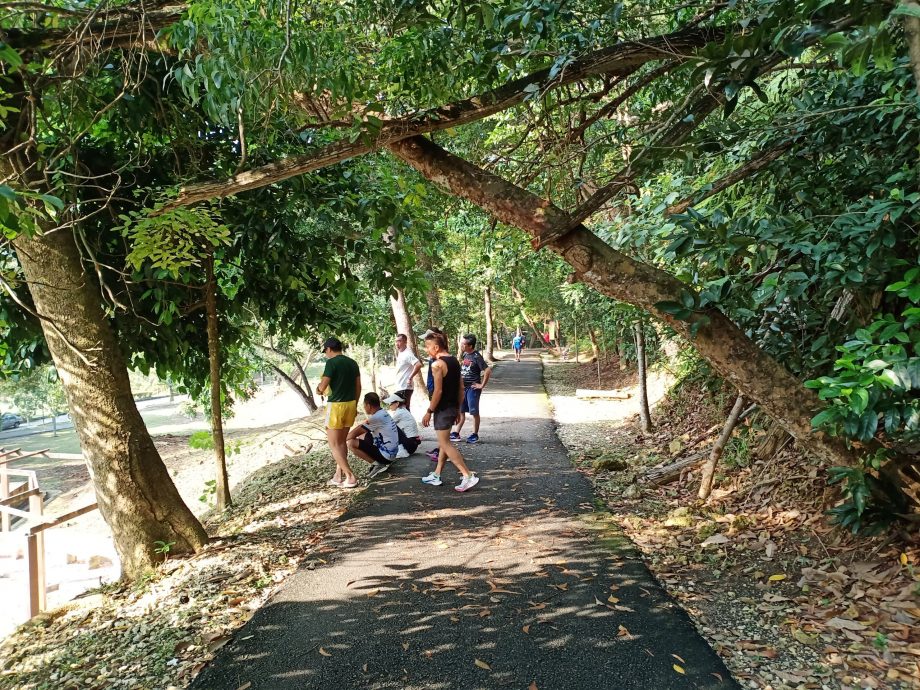 封面-大都会/人民公园走道凹凸不平肇10多人跌倒受伤/17图