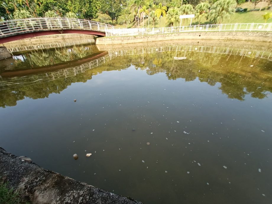 封面-大都会/人民公园走道凹凸不平肇10多人跌倒受伤/17图