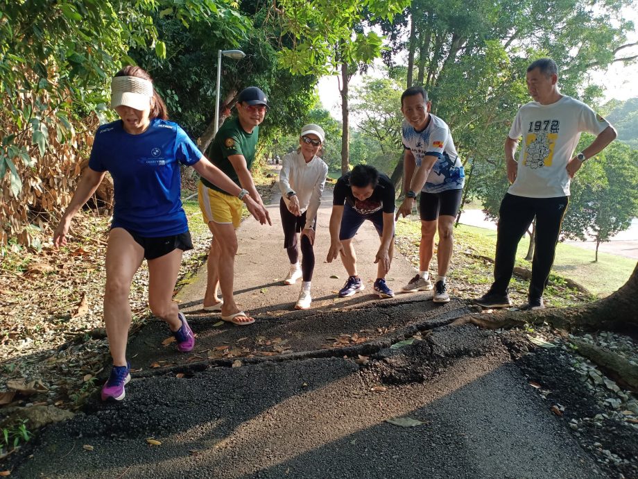 封面-大都会/人民公园走道凹凸不平肇10多人跌倒受伤/17图