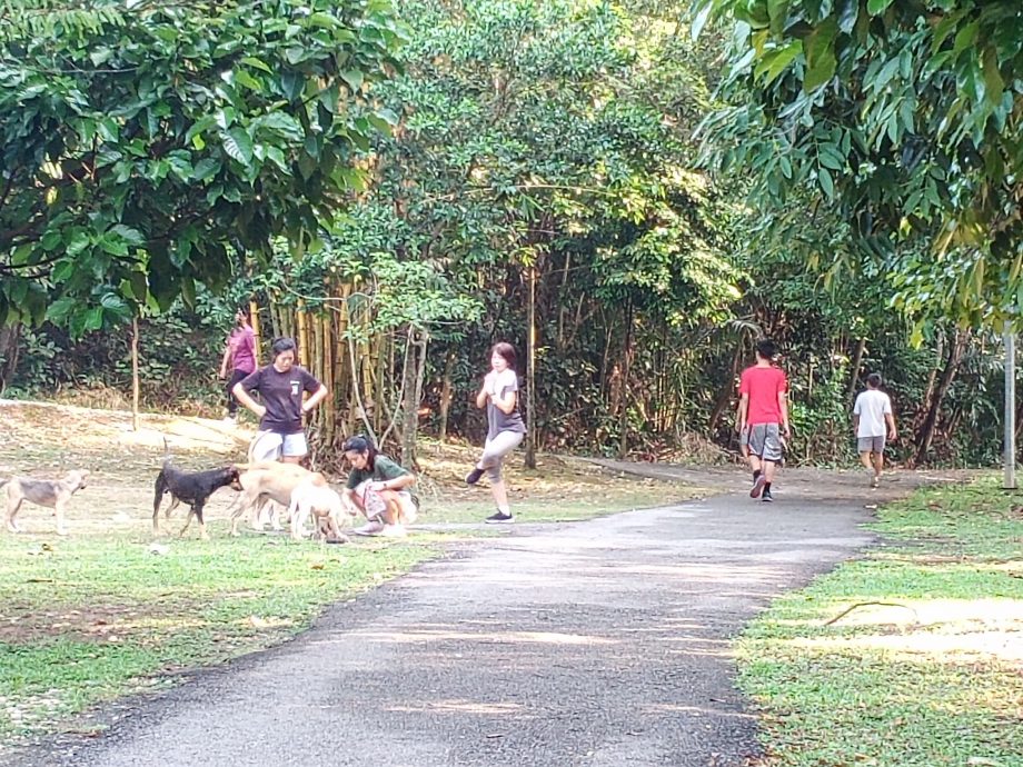 封面-大都会/人民公园走道凹凸不平肇10多人跌倒受伤/17图