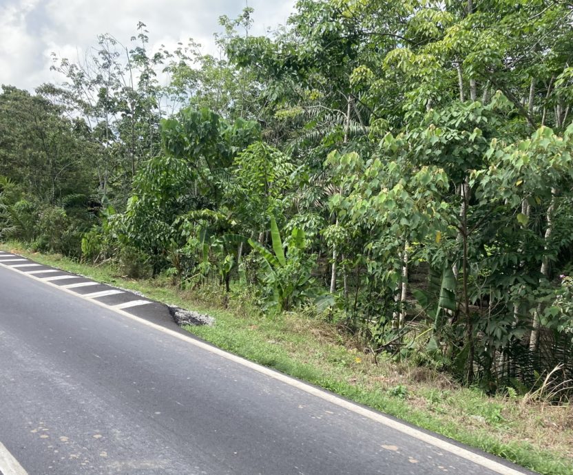 *已签发*柔：巴士、重型罗里三番四次硬闯3公尺高度限制捷径，导致高度限制栏和照明灯损坏