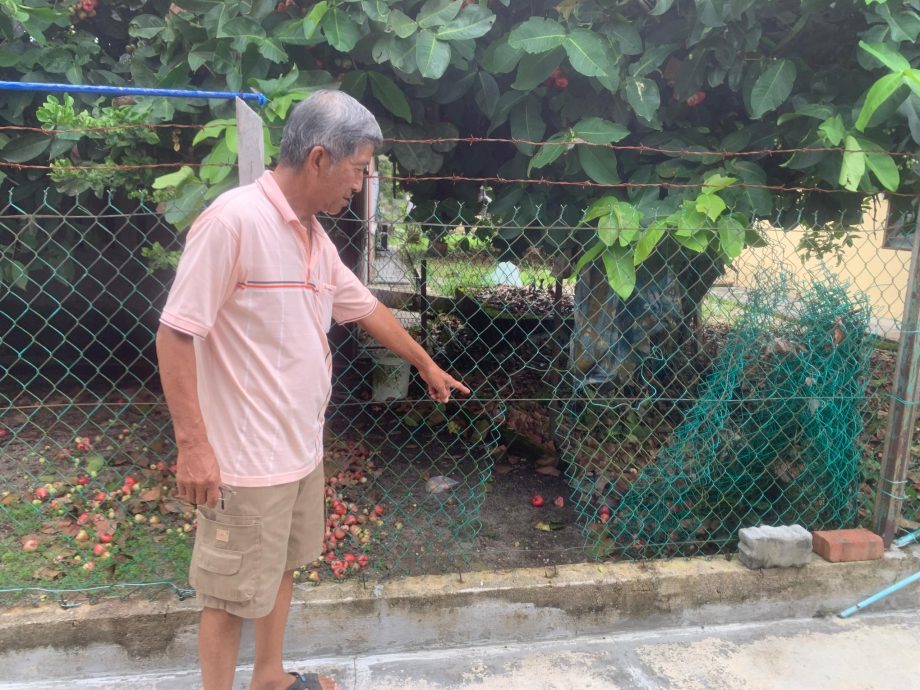 *已签发*柔:江加埔来一天内发生两宗破门行窃案