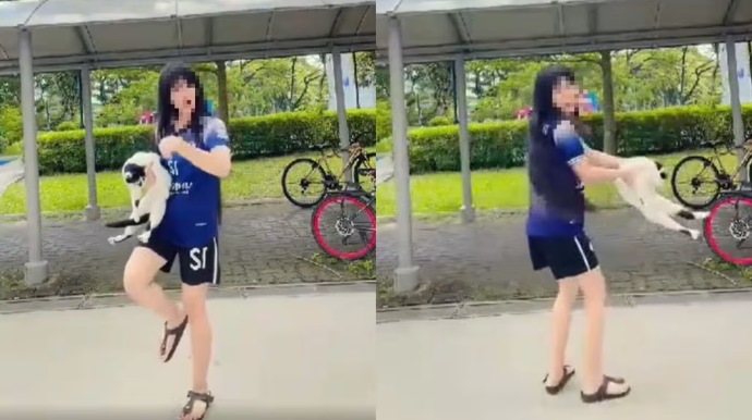 *已签发*柔：狮城二三事：摇晃猫被指虐待 狮城防虐动物协会：女子表现悔意