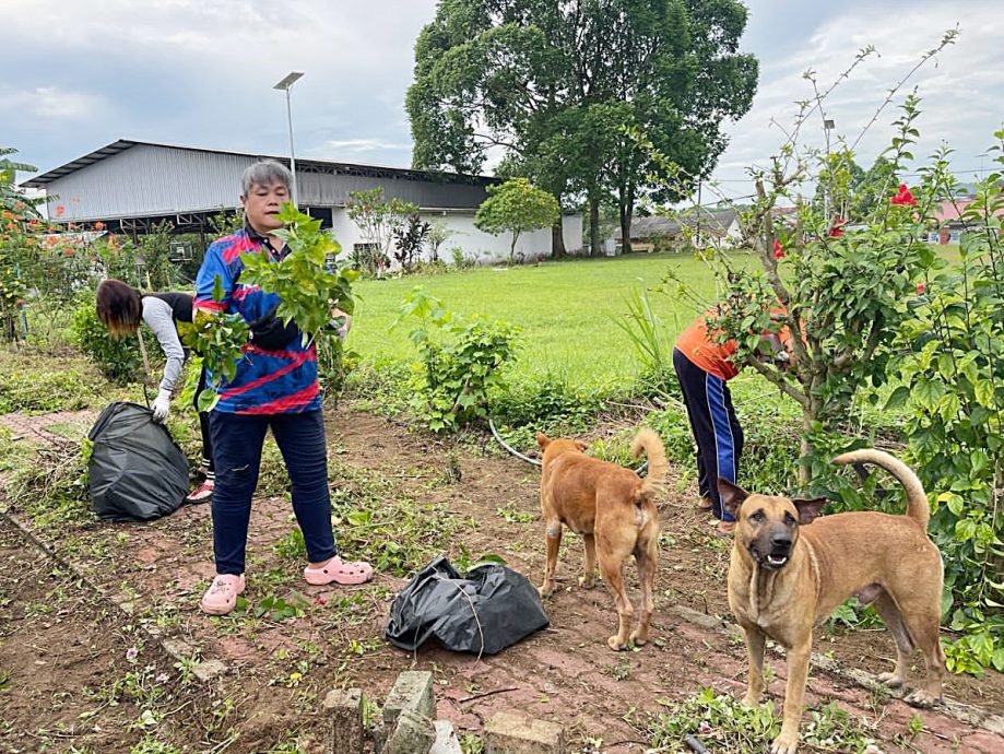 *已签发*(社区版头条之一)柔:士乃新村睦邻计划委员会举办清洁运动