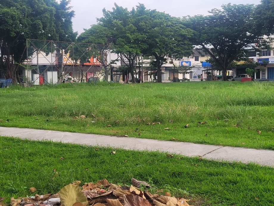 巴占台霹花园公园荒草丛生 马华吁市政厅行动
