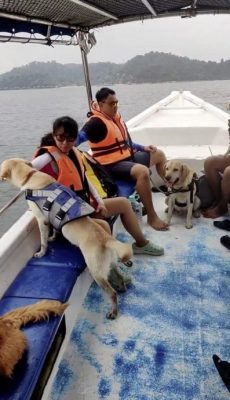 带狗出游邦咯岛,食住行功课先做好!