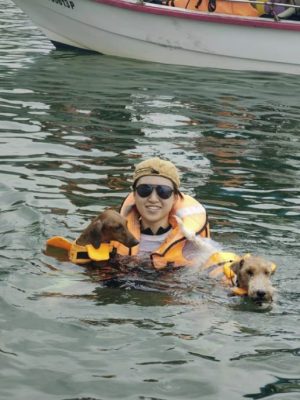 带狗出游邦咯岛,食住行功课先做好!