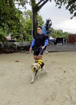 带狗出游邦咯岛,食住行功课先做好!