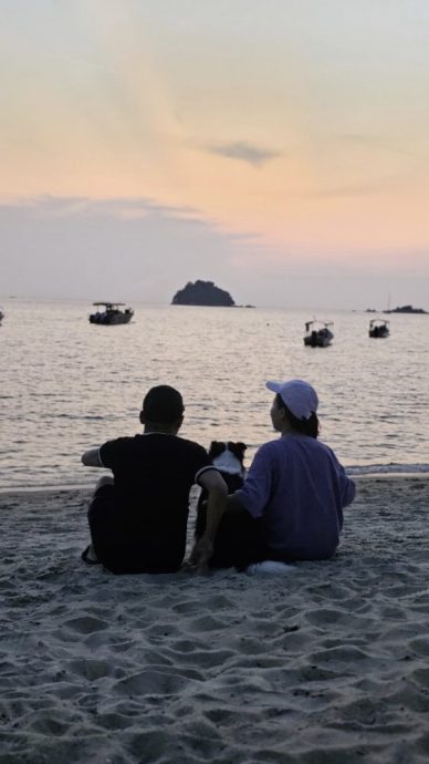 带狗出游邦咯岛,食住行功课先做好!